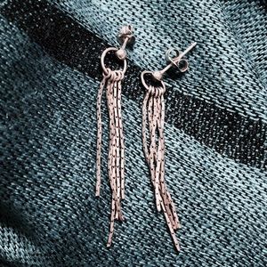 ✳️ Price drop! Silver earrings