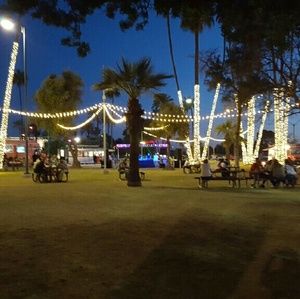 Meet your Posher, Martha