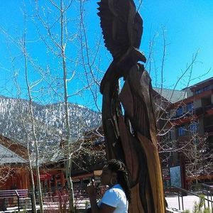 Meet your Posher, Terri