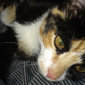 Meet your Posher, Kyra