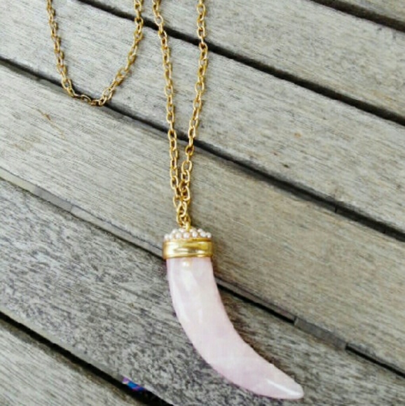 Rose Quartz Horn Necklace