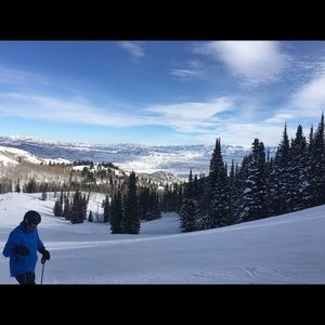 Meet your Posher, Bailey