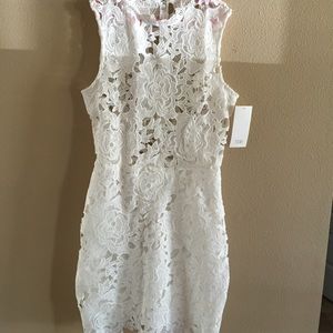 Lace Ivory Bodycon Dress