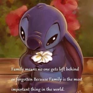 Meet your Posher, Rose