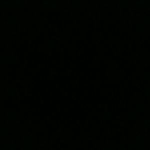 Meet your Posher, Susie