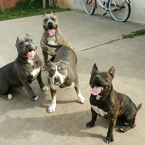 Meet your Posher, Viviana