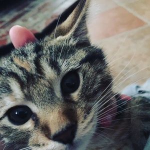 Meet your Posher, Elijah