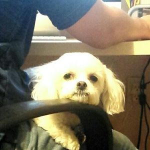 Meet your Posher, Marie