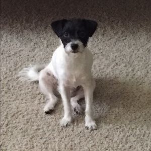 Meet your Posher, Ivy