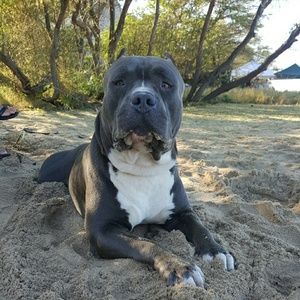 Meet your Posher, Ikaika