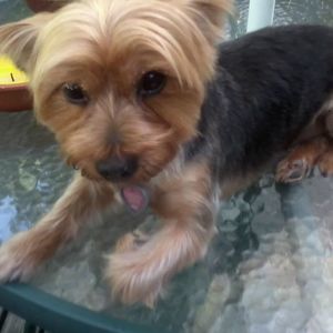 Meet your Posher, Karen