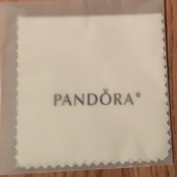 Pandora polishing cloth