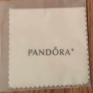 Pandora polishing cloth