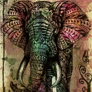 Meet your Posher, Nina