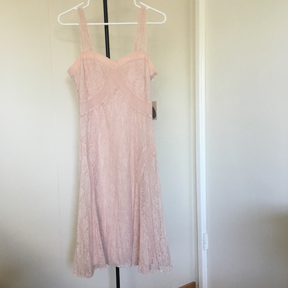 NWT Forever 21 Pink Floral Lace Dress