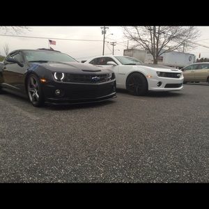 Meet your Posher, Landon