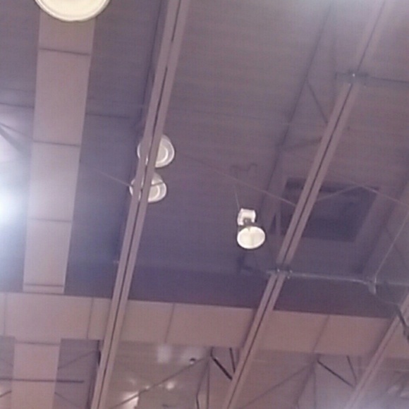 Meet your Posher, Edie