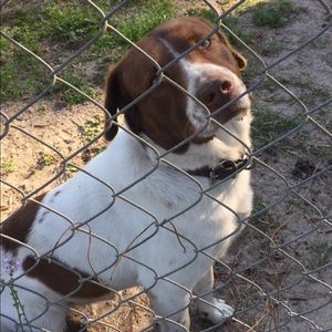 Meet your Posher, Kylie