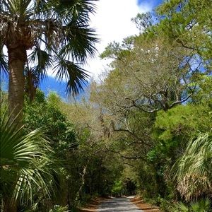 Meet your Posher, Eliza