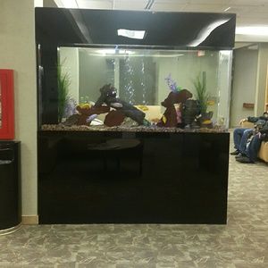 Meet your Posher, Terri