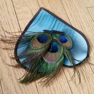 *Peacock feather embelishment