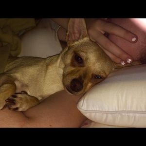 Meet your Posher, Anne