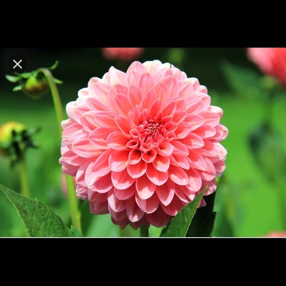 Meet your Posher, Bethany