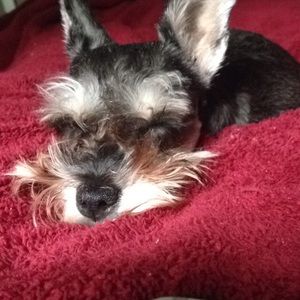 Meet your Posher, Haley