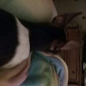 Meet your Posher, Brenda