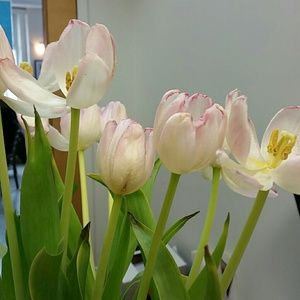 Meet your Posher, Linda