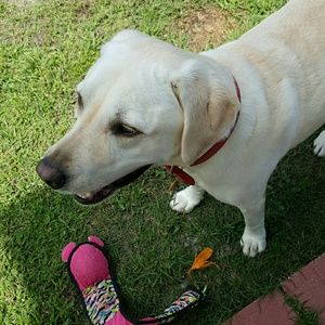 Meet your Posher, Flor