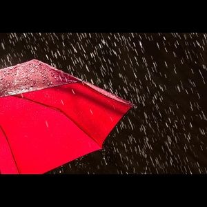 Meet your Posher, Vickie