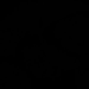 Meet your Posher, Judith