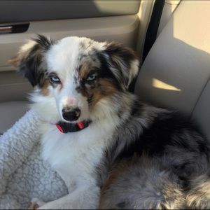 Meet your Posher, Karan