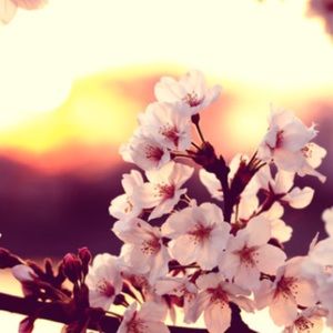 Meet your Posher, Rita