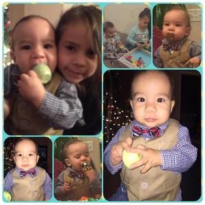 Meet your Posher, Martha