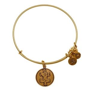 Alex & Ani Piece of the Puzzle Charm