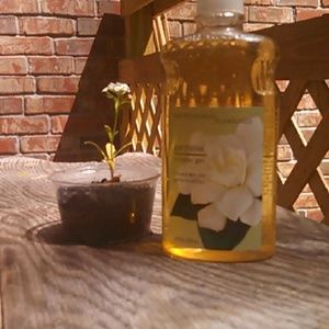 Bath and Body Works body wash