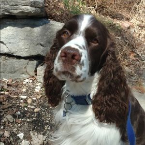 Meet your Posher, Sarah