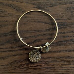 Alex & Ani Bangle