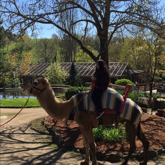 Meet your Posher, Crystal