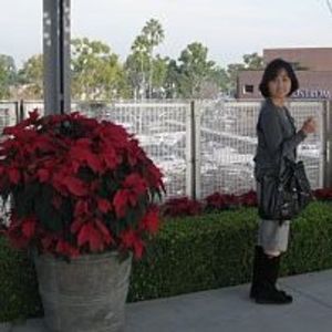 Meet your Posher, Jane