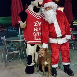 Meet your Posher, Patricia