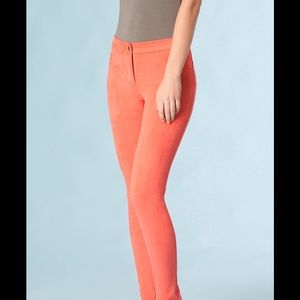 HaleBob Pants 2GHT8076