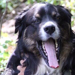 Meet your Posher, Sam