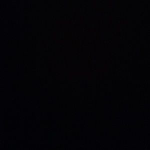 Meet your Posher, Will