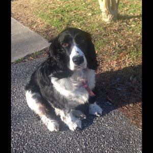 Meet your Posher, Ying