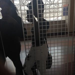 Meet your Posher, Tajanae