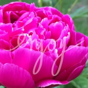 ❤️bundle for servethelord