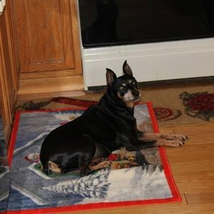 Meet your Posher, Janis